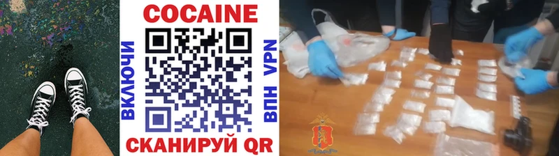 Cocaine Fish Scale  Купить закладки  Рудня 