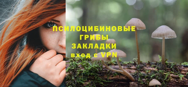 мет Осташков