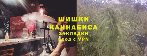 тгк Пестово