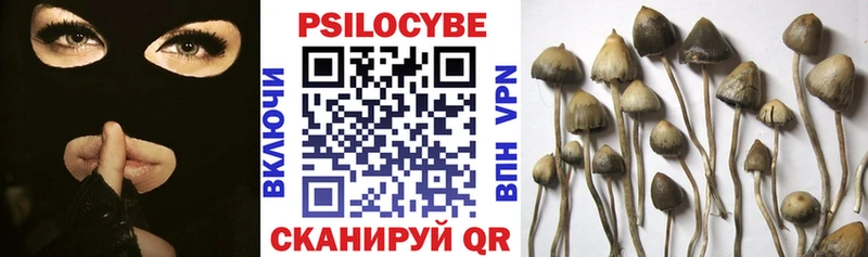 Купить  Рудня  Псилоцибиновые грибы Magic Shrooms 